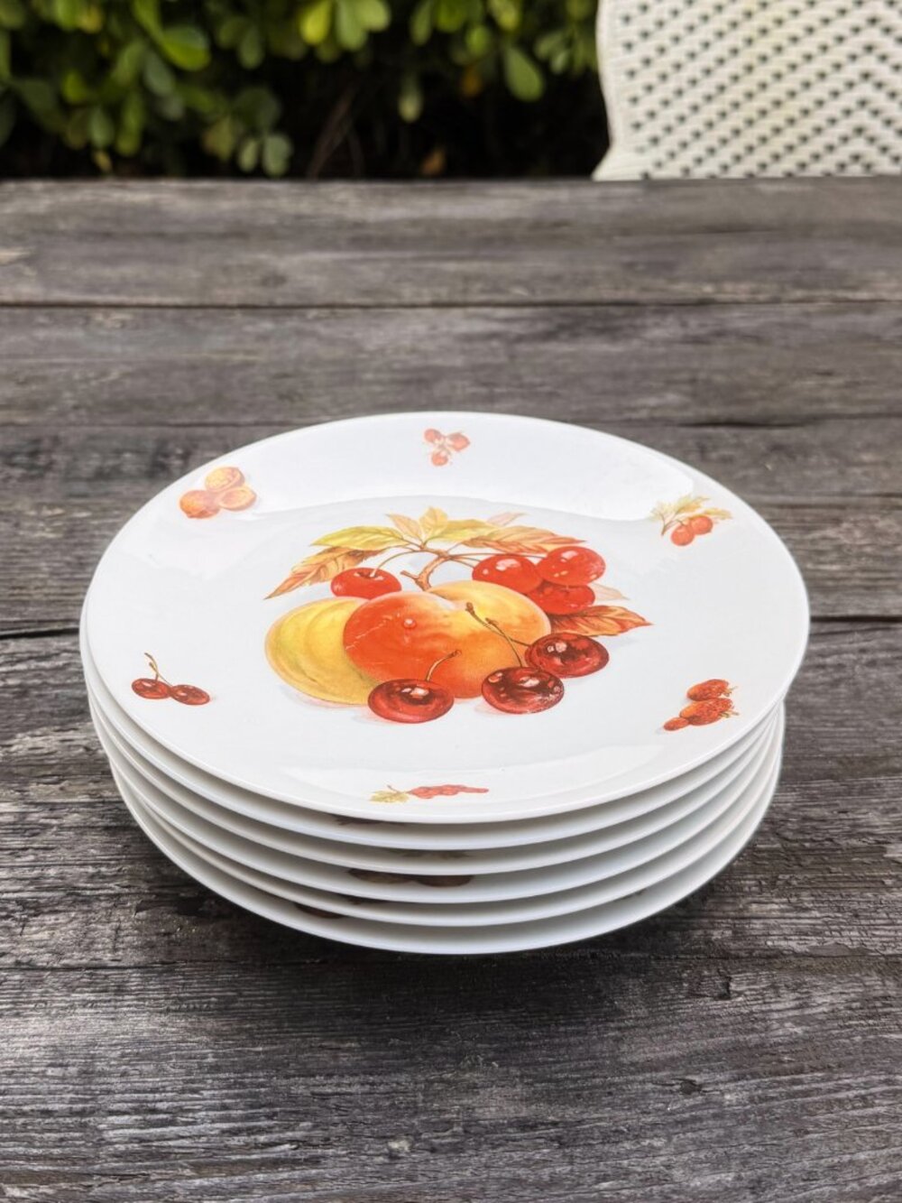 Vintage Set of 6 Mitterteich Bavaria DEBRA Fruit & Nut Salad Dessert Plates
